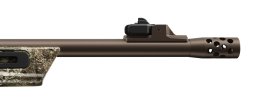 41750-02.png