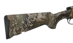 41675-02.png
