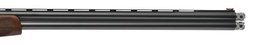 40831-04.png