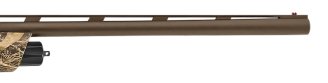 41428-04.png