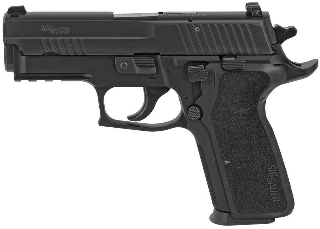 229R-9-ESE-CA-02.png