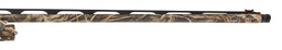 10339-02.png