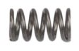 Sig Sauer P365 Extractor Spring - 9mm