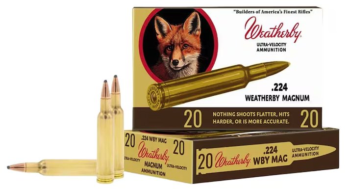 Weatherby 224 WBY 55 GR HORNADY VARMINT, 80TH CE